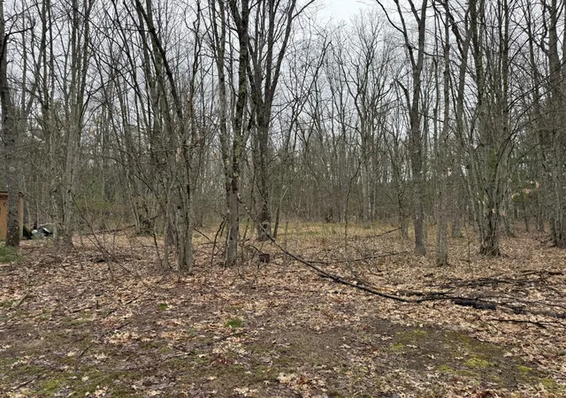 16th image of 14995 N River Rd, Brethren, MI 49619 | MLS# 67026019008