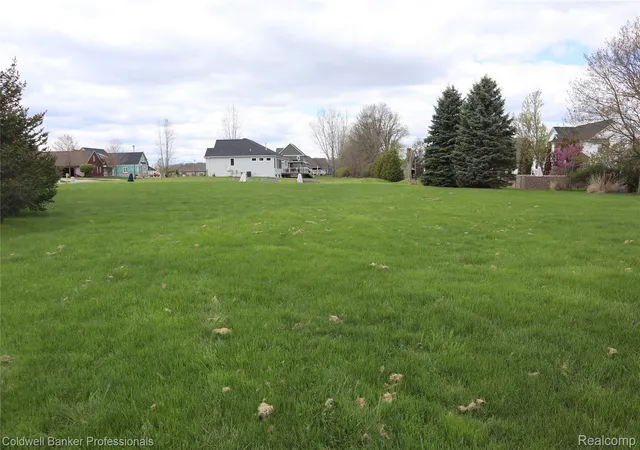 Homes for sale in Decker, MI | 00 Championship Dr, Decker, MI 48426 | MLS# 20261030432