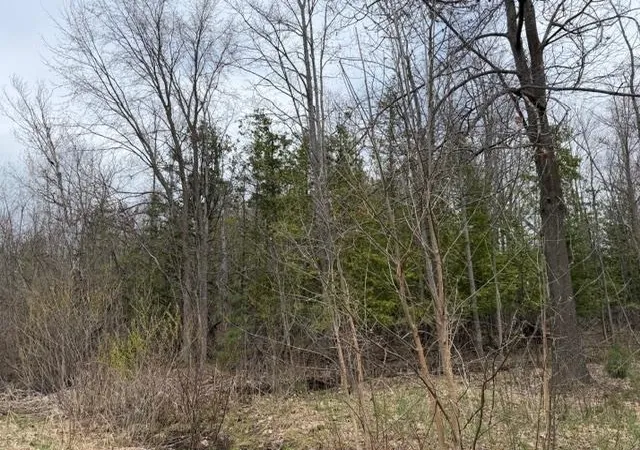 3rd image of 8618 Partridge Trl, Elk Rapids, MI 49629 | MLS# 78080067660