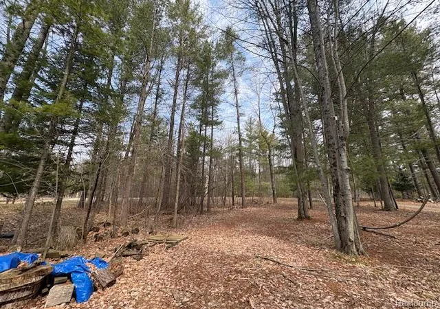 5th image of 3615 Pinelands Rd, Gladwin, MI 48624 | MLS# 20261030594