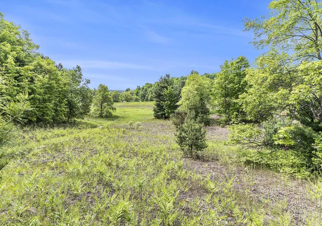 Homes for sale in Solon Township Leelanau, MI | 00 1a East Traverse Hwy, Solon Township Leelanau, MI 49684 | MLS# 78080067697