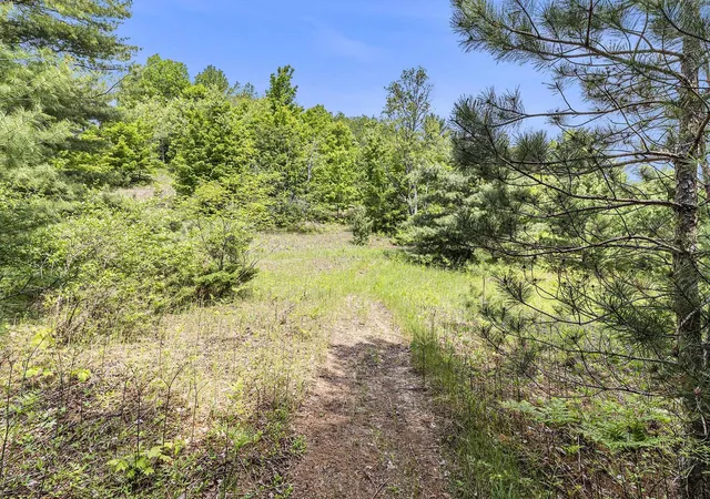 Homes for sale in Solon Township Leelanau, MI | 00 1a East Traverse Hwy, Solon Township Leelanau, MI 49684 | MLS# 78080067697