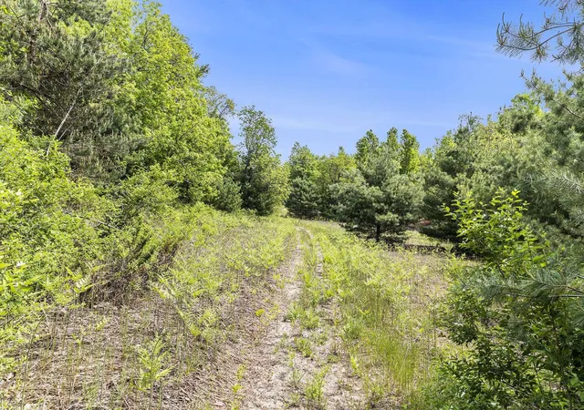 Homes for sale in Solon Township Leelanau, MI | 00 1A East Traverse Hwy, Solon Township Leelanau, MI 49684 | MLS# 78080067697