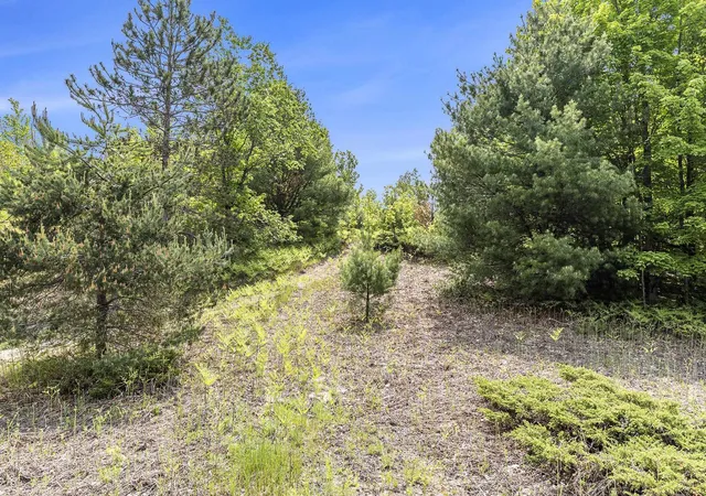 Homes for sale in Solon Township Leelanau, MI | 00 1A East Traverse Hwy, Solon Township Leelanau, MI 49684 | MLS# 78080067697