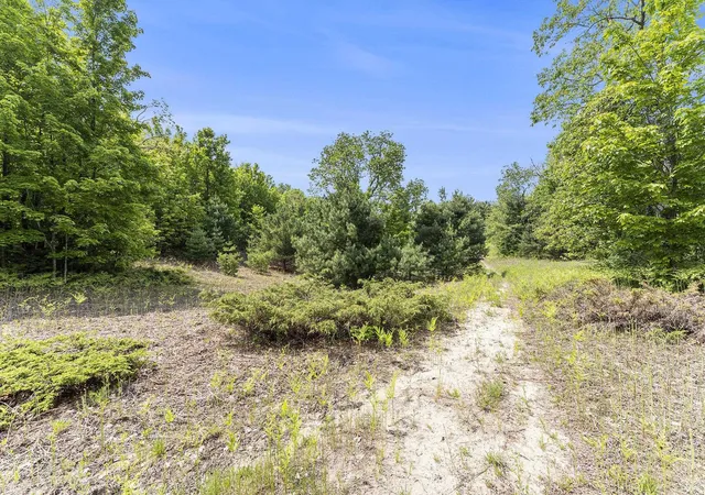 Homes for sale in Solon Township Leelanau, MI | 00 1A East Traverse Hwy, Solon Township Leelanau, MI 49684 | MLS# 78080067697