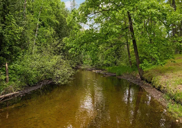 4th image of 8415 W Workman Rd, Lake City, MI 49651 | MLS# 78080067720