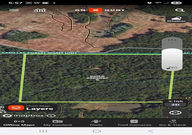Photo 51 of Land for sale at 7299 N Truesdale Rd, Manton, MI 49663 | MLS# 78080067733 | Listing updated on 2026-07-13