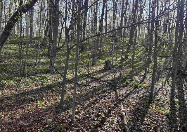 Photo 3 of Land for sale at Lot 121 Maromir Ct, Bellaire, MI 49615 | MLS# 78080067761 | Listing updated on 2026-10-04