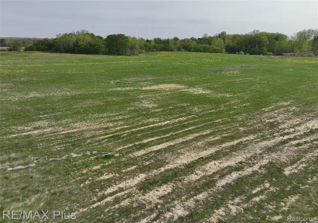 Photo 4 of Land for sale at 00 Woodbridge Park Ave, Ortonville, MI 48462 | MLS# 20261031410 | Listing updated on 2026-07-06