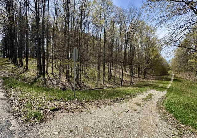 17th image of Parcel F Dayhuf 27 Mile Rd, Kingsley, MI 49649 | MLS# 78080067795
