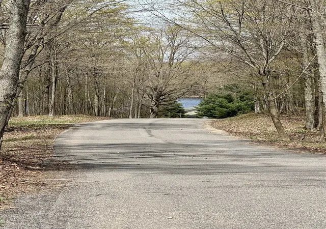 2nd image of Parcel F Dayhuf 27 Mile Rd, Kingsley, MI 49649 | MLS# 78080067795