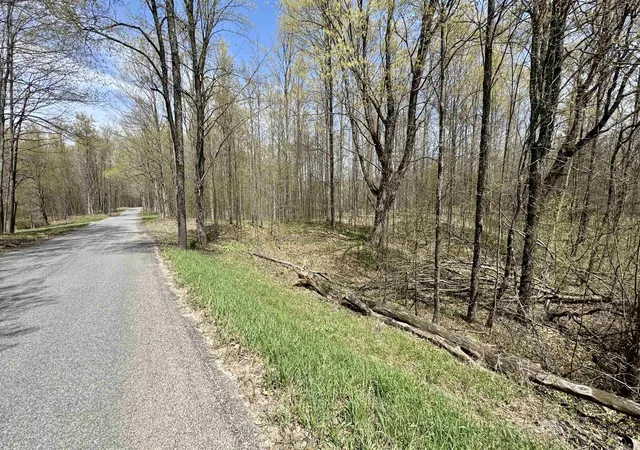 4th image of Parcel F Dayhuf 27 Mile Rd, Kingsley, MI 49649 | MLS# 78080067795