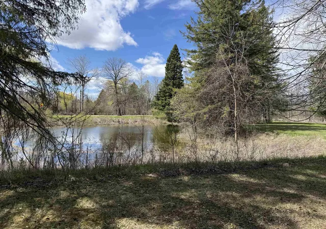 Photo 3 of Land for sale at 0 S M 65, Burleigh Township Iosco, MI 48765 | MLS# 77080067799 | Listing updated on 2026-07-26