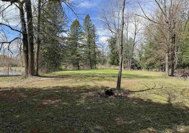Photo 4 of Land for sale at 0 S M 65, Burleigh Township Iosco, MI 48765 | MLS# 77080067799 | Listing updated on 2026-07-26