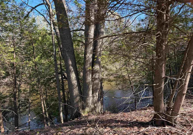 2nd image of Tbd S Loomis Rd, Mount Pleasant, MI 48858 | MLS# 79080067806