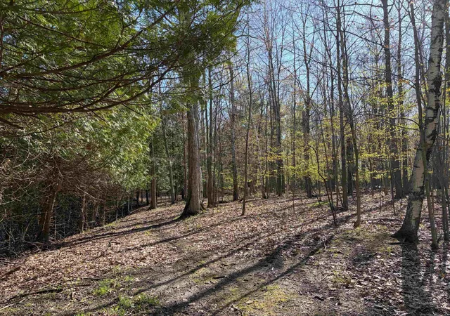 5th image of Tbd S Loomis Rd, Mount Pleasant, MI 48858 | MLS# 79080067806