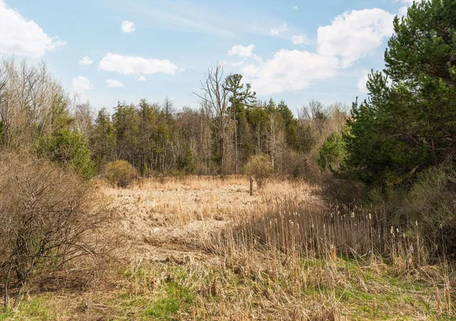 Photo 4 of Land for sale at 2051 N Garfield Rd, Traverse City, MI 49686 | MLS# 78080067849 | Listing updated on 2026-08-19