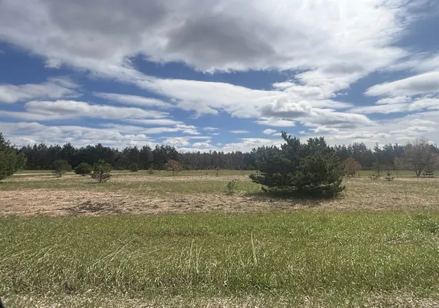 2nd image of 0 Kyle Dr, Mancelona, MI 49659 | MLS# 78080067885
