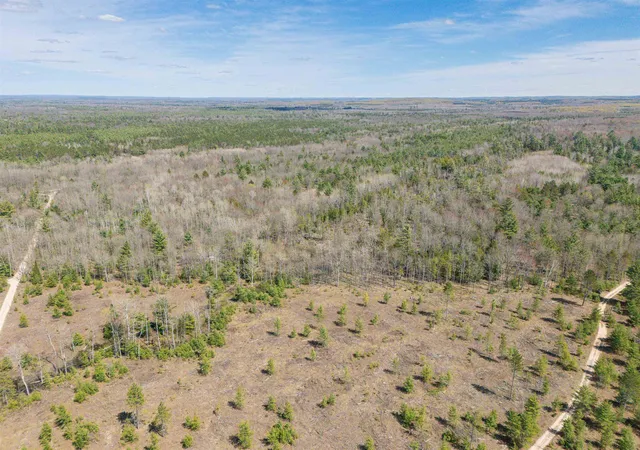Photo 2 of Land for sale at Vl Kolarvic Rd, Greenwood Township Wexford, MI 49663 | MLS# 78080067902 | Listing updated on 2026-06-12