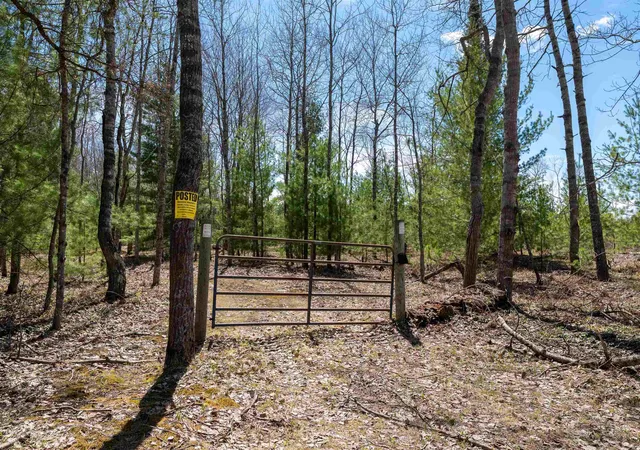 Photo 4 of Land for sale at Vl Kolarvic Rd, Greenwood Township Wexford, MI 49663 | MLS# 78080067902 | Listing updated on 2026-06-12