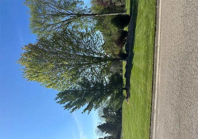 4th image of 4299 Lake Farms Ct, Linden, MI 48451 | MLS# 20261032457