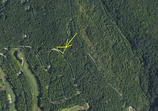Photo 2 of Land for sale at Lot 218 Hawks Eye Dr, Bellaire, MI 49615 | MLS# 78080067929 | Listing updated on 2026-05-10
