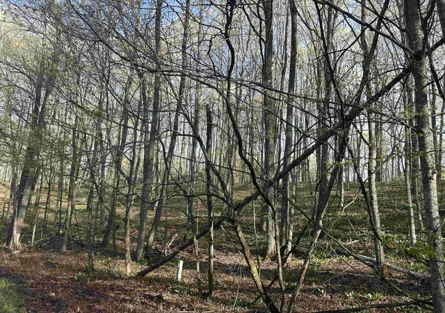 Photo 3 of Land for sale at Lot 218 Hawks Eye Dr, Bellaire, MI 49615 | MLS# 78080067929 | Listing updated on 2026-05-10