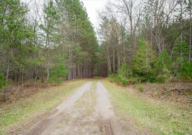 Photo 4 of Single family home for sale at 7734 Partlo Rd, Whittemore, MI 48770 | MLS# 77080067949 | Listing updated on 2026-07-25