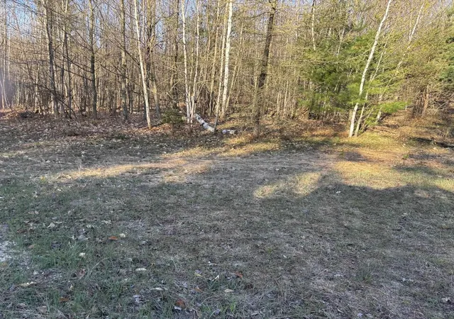 Photo 8 of Land for sale at 00 Forward, Lake City, MI 49651 | MLS# 78080067957 | Listing updated on 2026-07-27