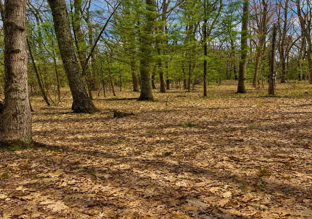 Photo 4 of Land for sale at 5302 Karlin Rd, Interlochen, MI 49643 | MLS# 78080067992 | Listing updated on 2026-10-07