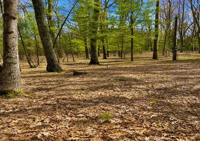 6th image of 5302 Karlin Rd, Interlochen, MI 49643 | MLS# 78080067992