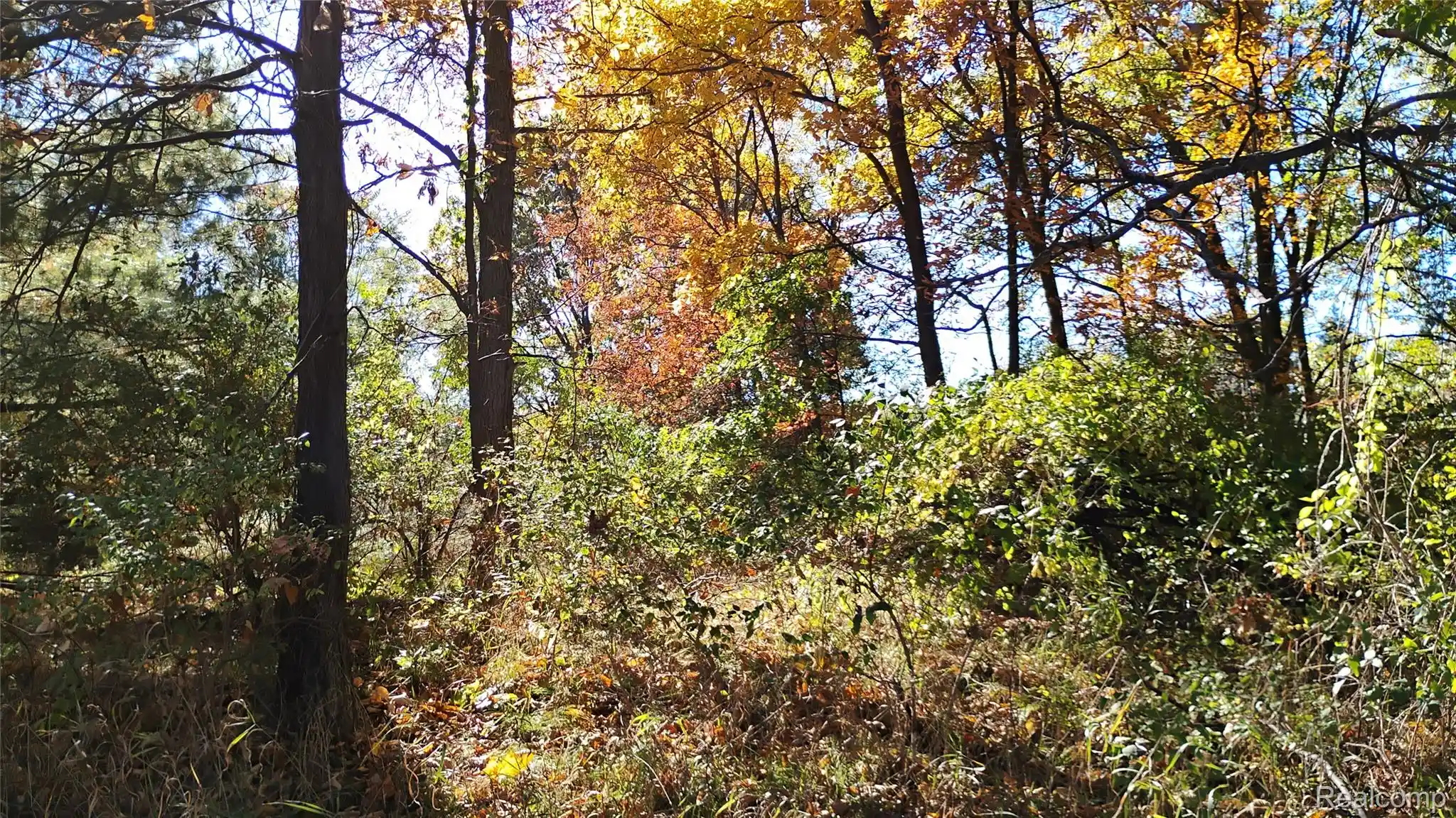 Photo 1 of Land for sale at 000 Middle Parcel C Middle Rd, Highland, MI 48357 | MLS# 20261033109 | Listing updated on 2026-10-22