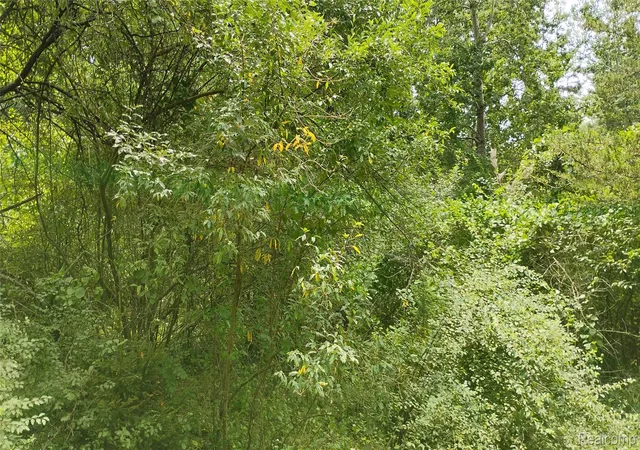 12th image of 000 Middle Parcel C Middle Rd, Highland, MI 48357 | MLS# 20261033109