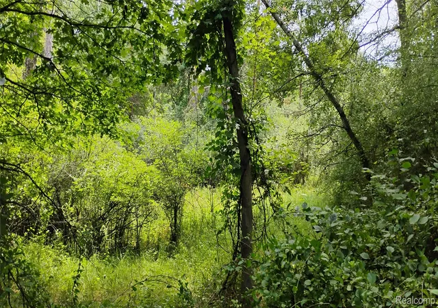 Photo 5 of Land for sale at 000 Middle Parcel C Middle Rd, Highland, MI 48357 | MLS# 20261033109 | Listing updated on 2026-08-24