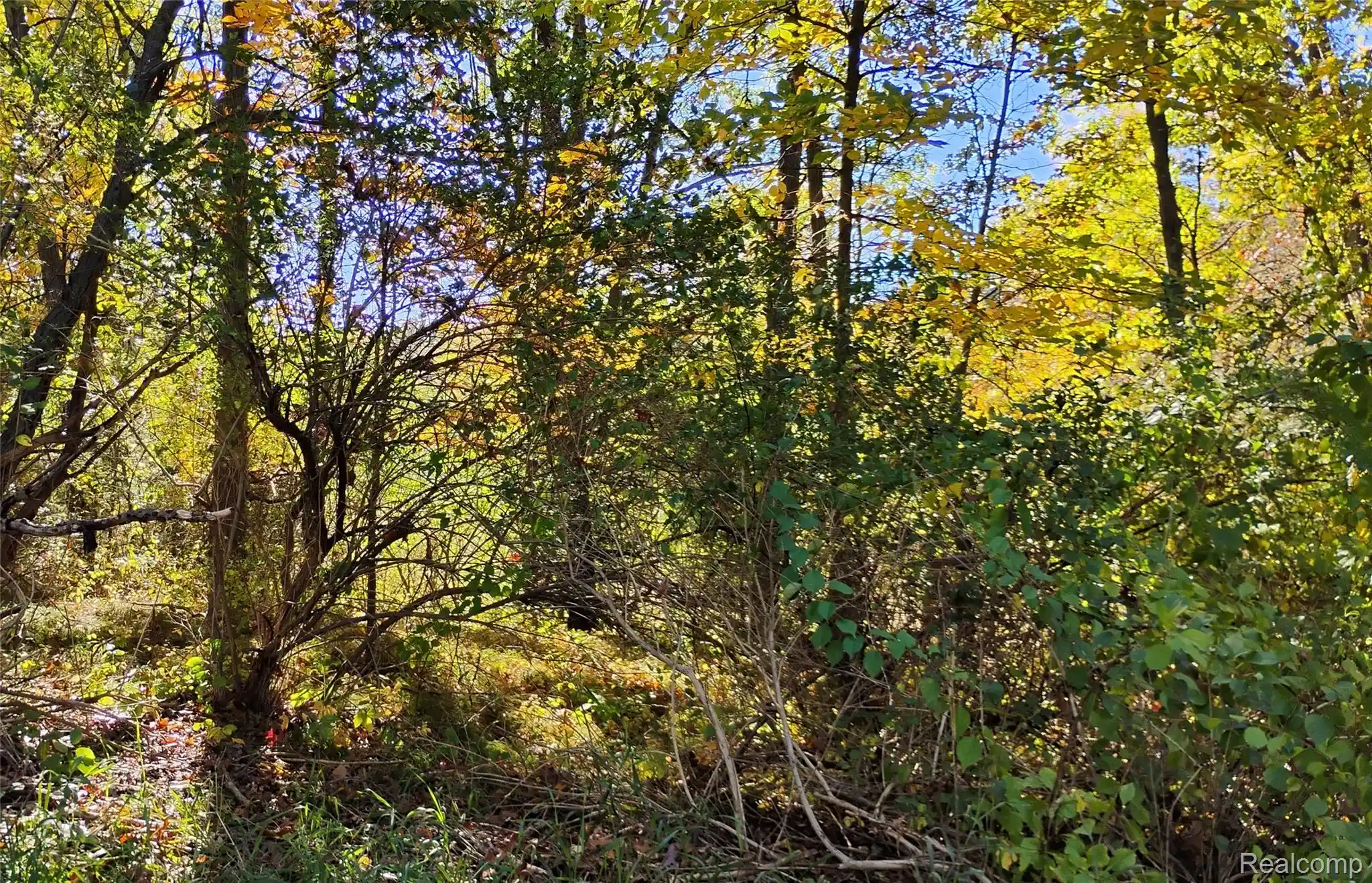 Photo 1 of Land for sale at 000 Middle Parcel D Middle Rd, Highland Charter Township Oakland, MI 48357 | MLS# 20261033121 | Listing updated on 2026-10-22