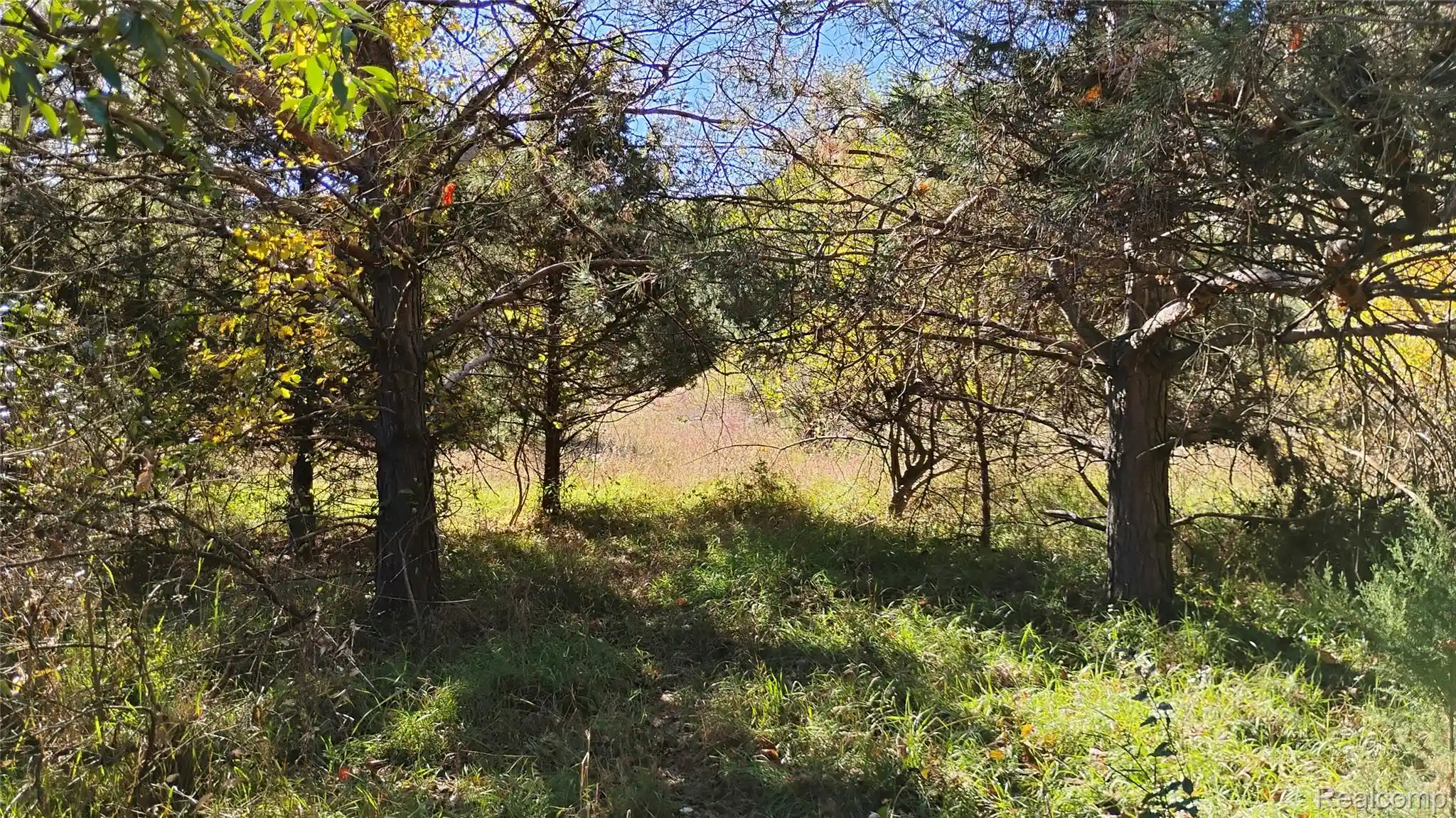 Photo 1 of Land for sale at 000 Middle V/l 1812 Acre Middle, Highland, MI 48357 | MLS# 20261033123 | Listing updated on 2026-10-30