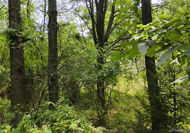 15th image of 000 Middle V/l 1812 Aces Middle, Highland, MI 48357 | MLS# 20261033123
