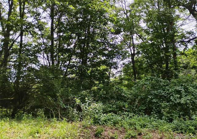 2nd image of 000 Middle V/L 1812 Aces Middle, Highland, MI 48357 | MLS# 20261033123