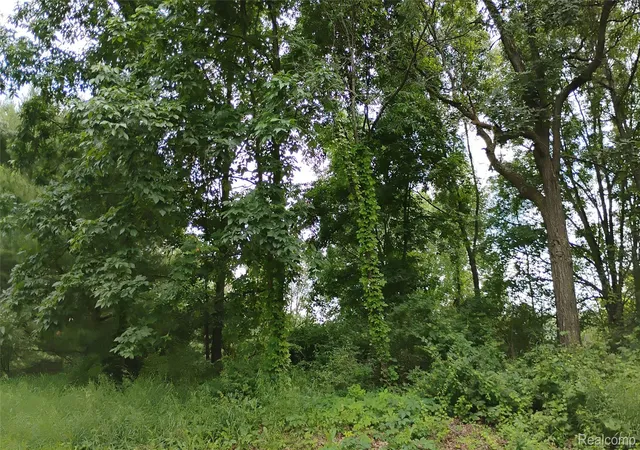 4th image of 000 Middle V/L 1812 Aces Middle, Highland, MI 48357 | MLS# 20261033123