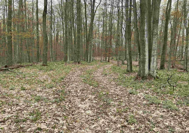 1st image of 20 Acres Zimmerman Rd, Rapid City, MI 49676 | MLS# 78080068022