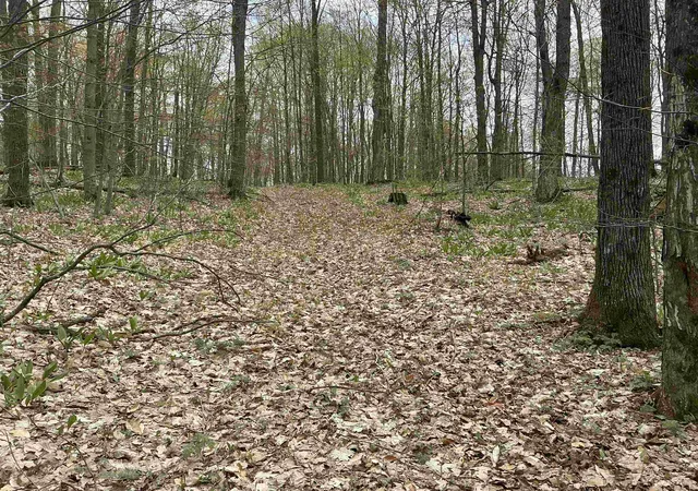 5th image of 20 Acres Zimmerman Rd, Rapid City, MI 49676 | MLS# 78080068022