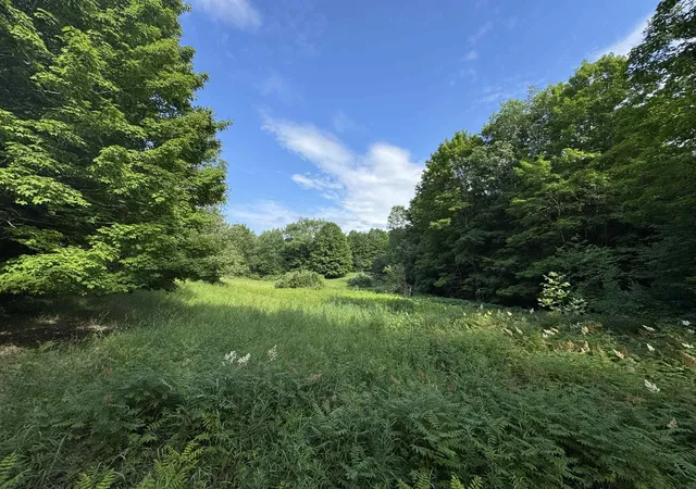 19th image of 00 W Beeman Rd, Empire, MI 49630 | MLS# 78080068023