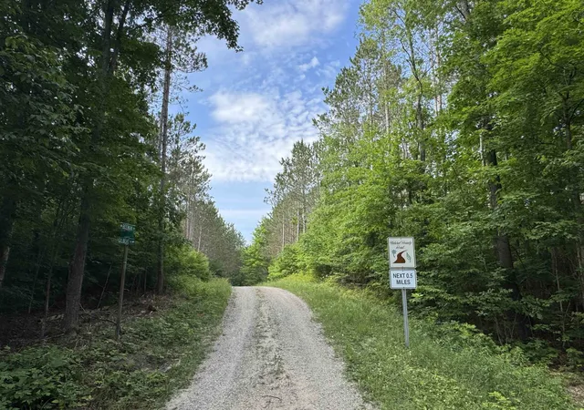 1st image of 00 W Beeman Rd, Empire, MI 49630 | MLS# 78080068023