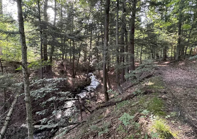 3rd image of 00 W Beeman Rd, Empire, MI 49630 | MLS# 78080068023