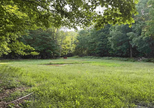 4th image of 00 W Beeman Rd, Empire, MI 49630 | MLS# 78080068023