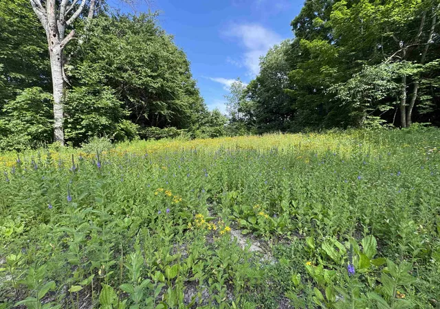 5th image of 00 W Beeman Rd, Empire, MI 49630 | MLS# 78080068023