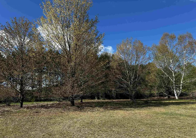 3rd image of V/L Nw Wilhelm Rd, Central Lake, MI 49622 | MLS# 78080068055