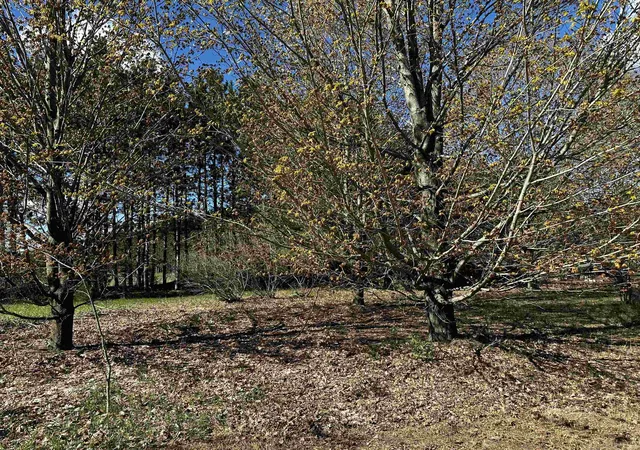 4th image of V/L Nw Wilhelm Rd, Central Lake, MI 49622 | MLS# 78080068055