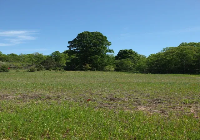 2nd image of Lot 10 Kingsfield Dr, Kingsley, MI 49649 | MLS# 78080068067