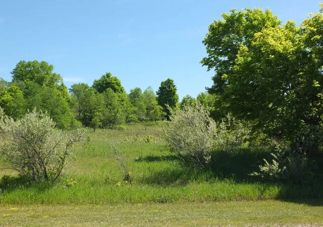 5th image of Lot 11 Kingsfield Dr, Kingsley, MI 49649 | MLS# 78080068068